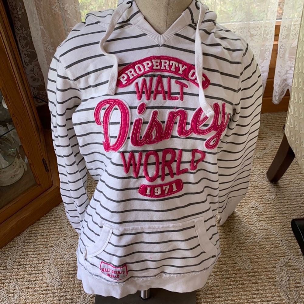 Disney World hoodie